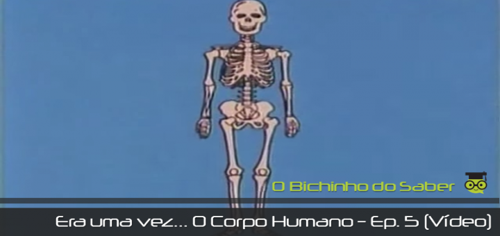 Era uma vez o Corpo Humano - episódio 5